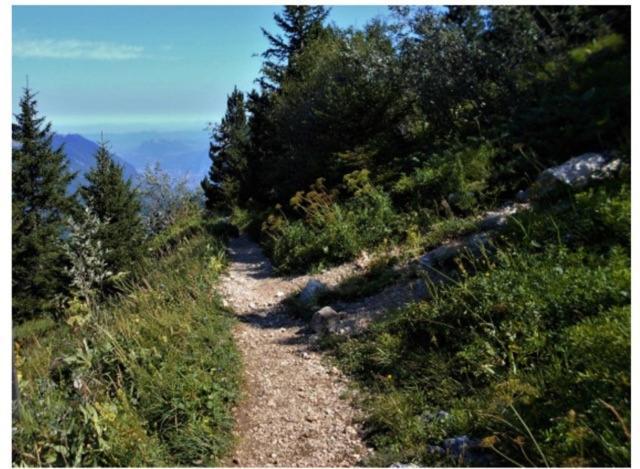 Grenoble Sud Varces Suite Privatisee Au Pied Des Montagnes מראה חיצוני תמונה